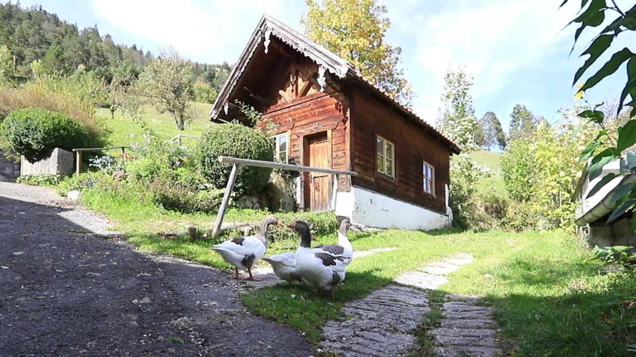 Haus Holler Apartment Wallgau Exterior photo